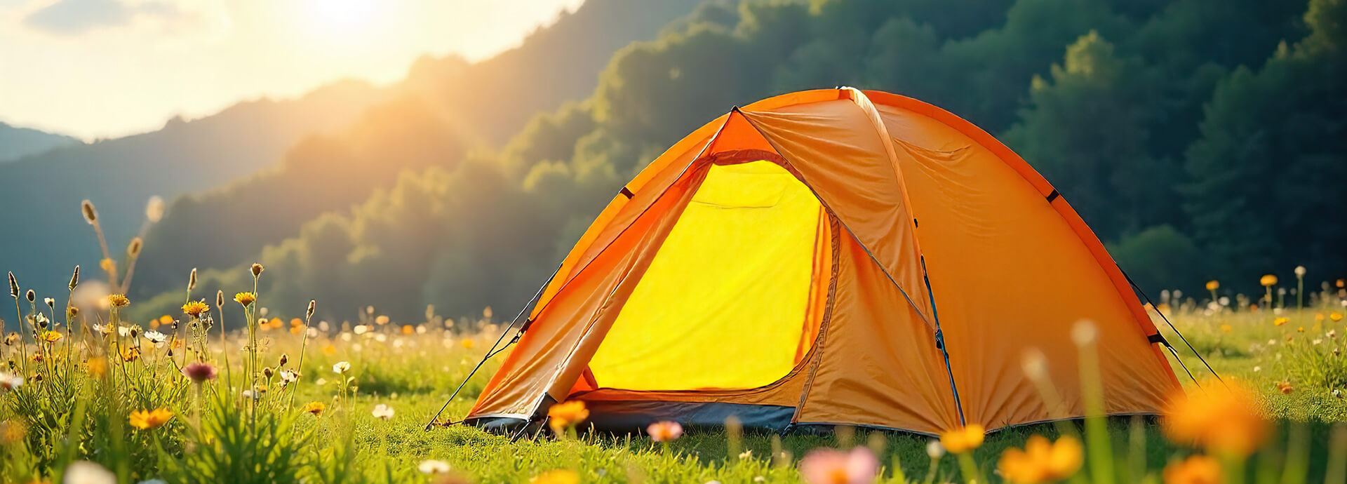 Emplacement nu pour tente et camping-car : hébergement dans les Hautes-Pyrénées 